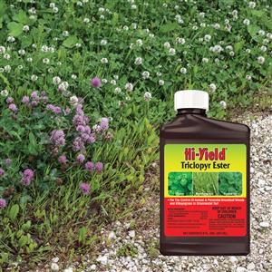 35261_Triclopyr Ester 8 oz  lifestyle image
